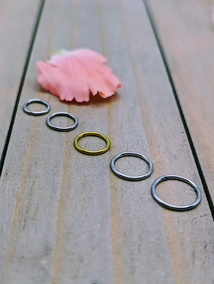 Earrings SirenBodyJewelry Thin titanium hoop earring 18g easy click shut continuous ring Earrings SirenBodyJewelry Thin titanium hoop earring 18g easy click shut continuous ring