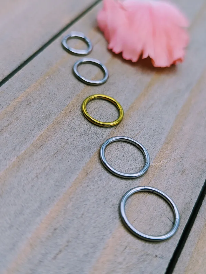Earrings SirenBodyJewelry Thin titanium hoop earring 18g easy click shut continuous ring